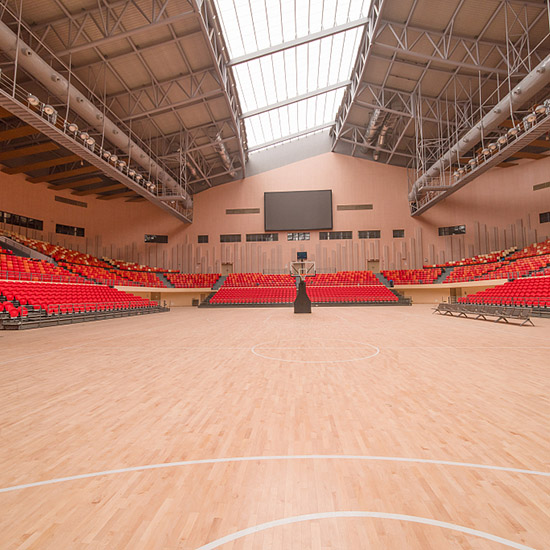 indoor stadium telescopic seating